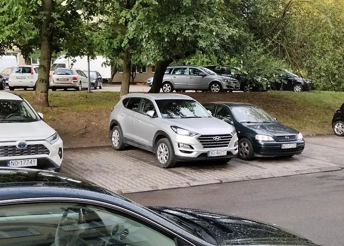Apartament Z Baldachimem I Pieknym Widokiem Olsztyna